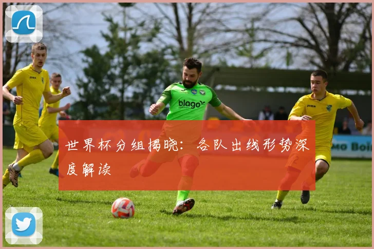 世界杯分组揭晓：各队出线形势深度解读