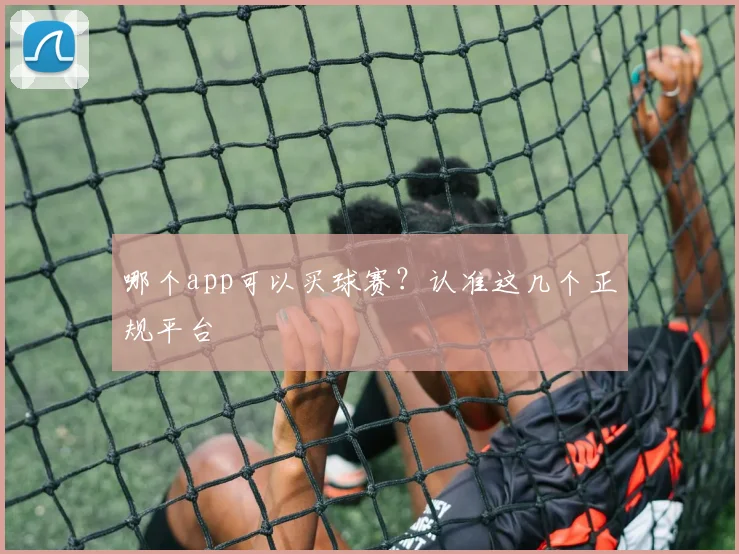 哪个app可以买球赛？认准这几个正规平台
