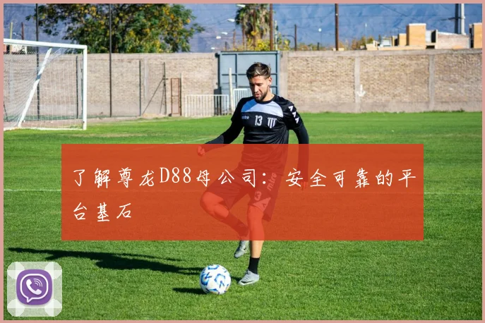 了解尊龙D88母公司：安全可靠的平台基石